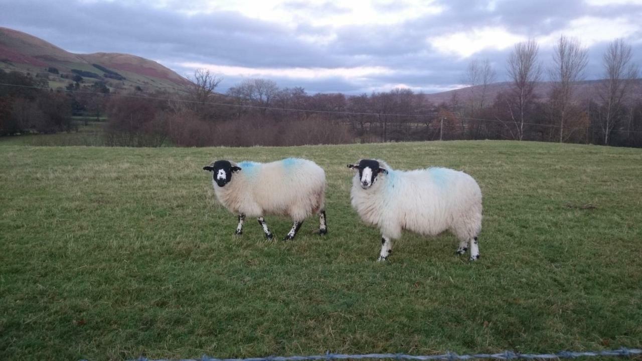Villa La'Al Yam Sedbergh Esterno foto