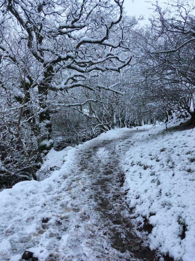 Villa La'Al Yam Sedbergh Esterno foto