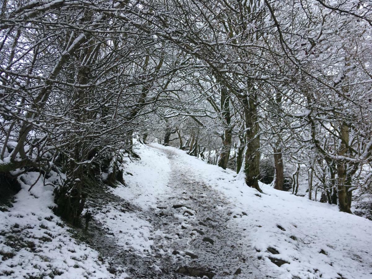 Villa La'Al Yam Sedbergh Esterno foto